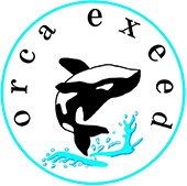 法人スマホの通信費を見直し｜社用携帯のプラン見直し・導入サポートならorca exeed